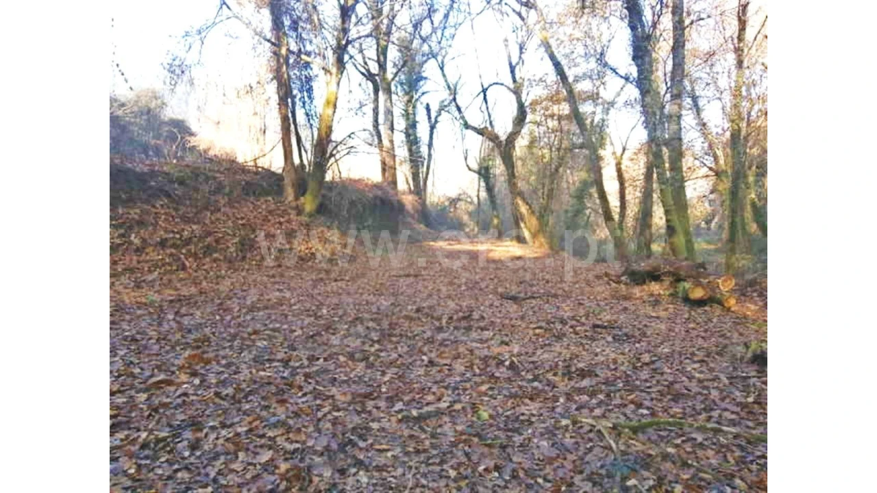 Moradia para Venda em Garfe Foto 8