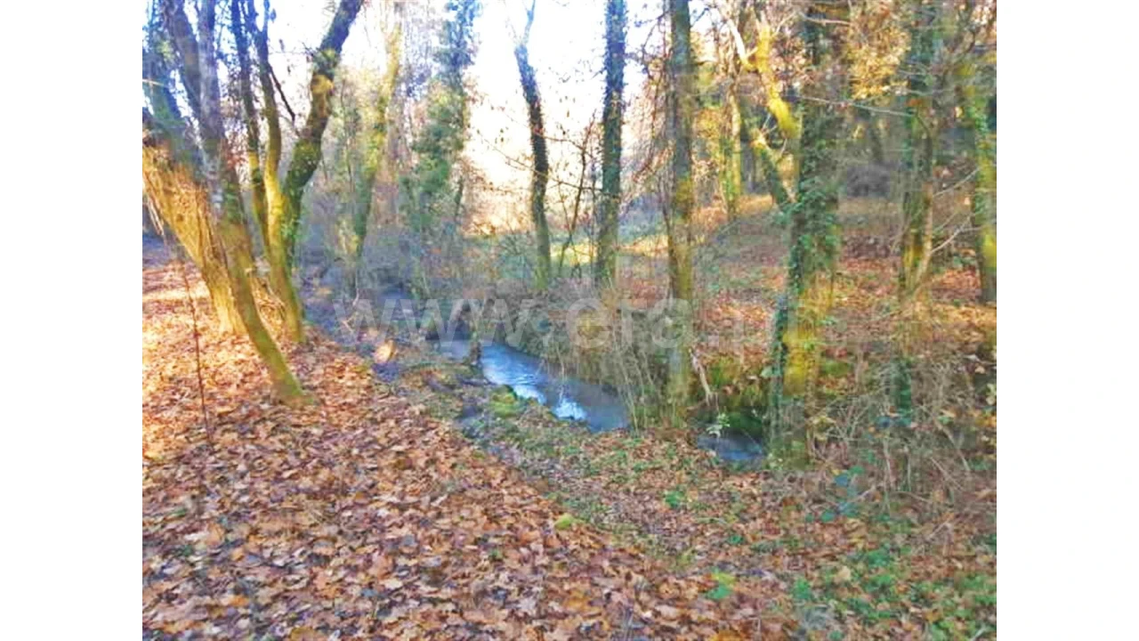 Moradia para Venda em Garfe Foto 10