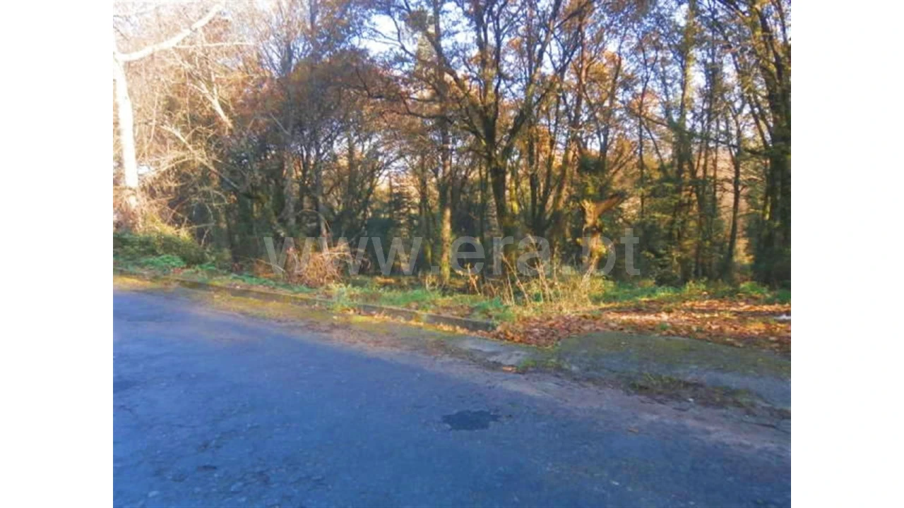 Moradia para Venda em Garfe Foto 15