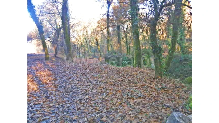 Moradia para Venda em Garfe Foto 1