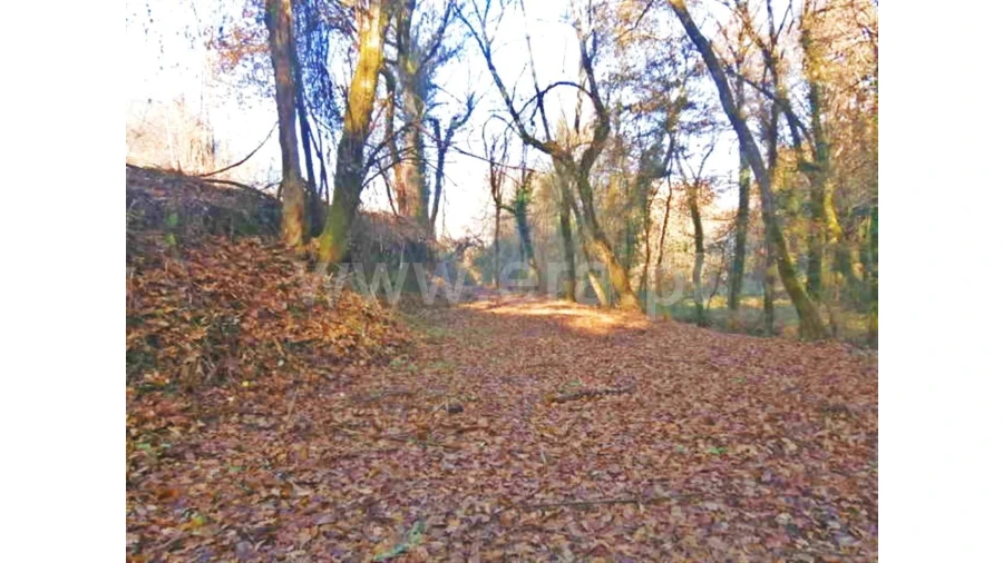 Moradia para Venda em Garfe Foto 6