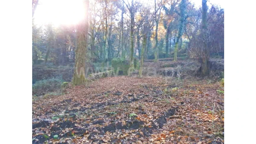 Moradia para Venda em Garfe Foto 7