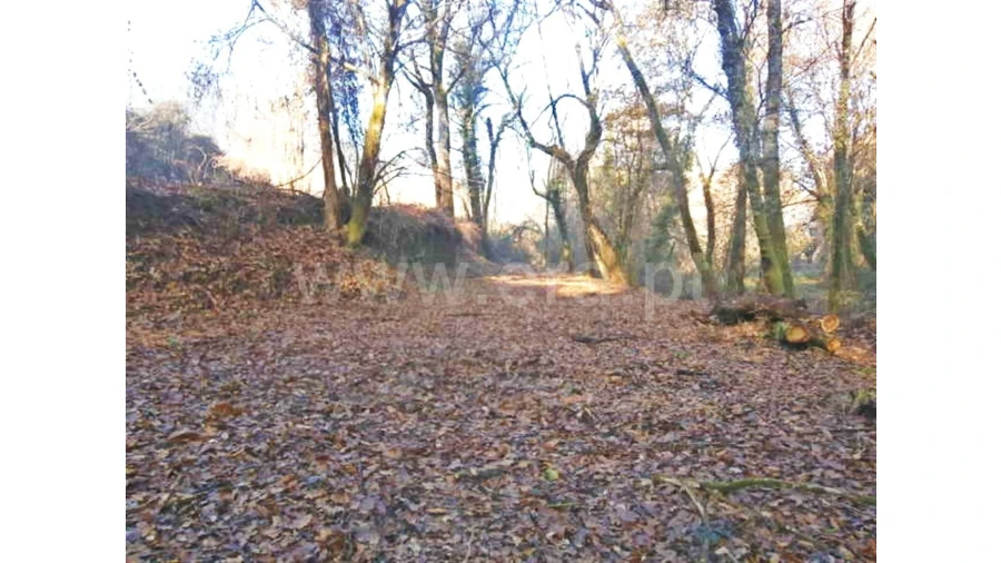 Moradia para Venda em Garfe Foto 8