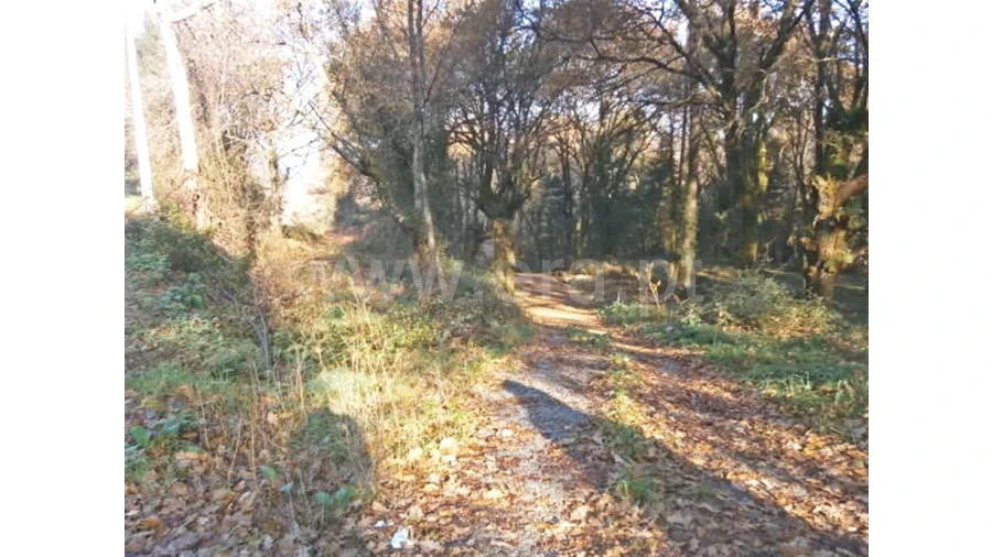 Moradia para Venda em Garfe Foto 13