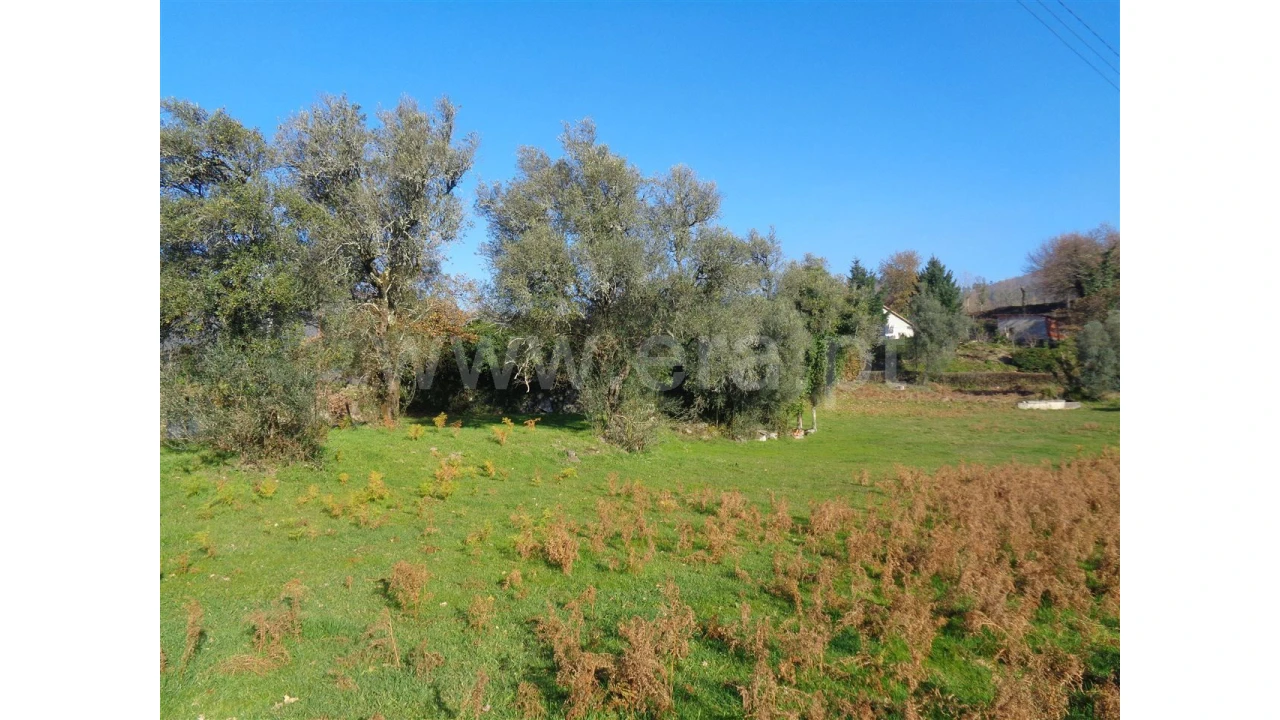 Moradia para Venda em Penela Foto 16