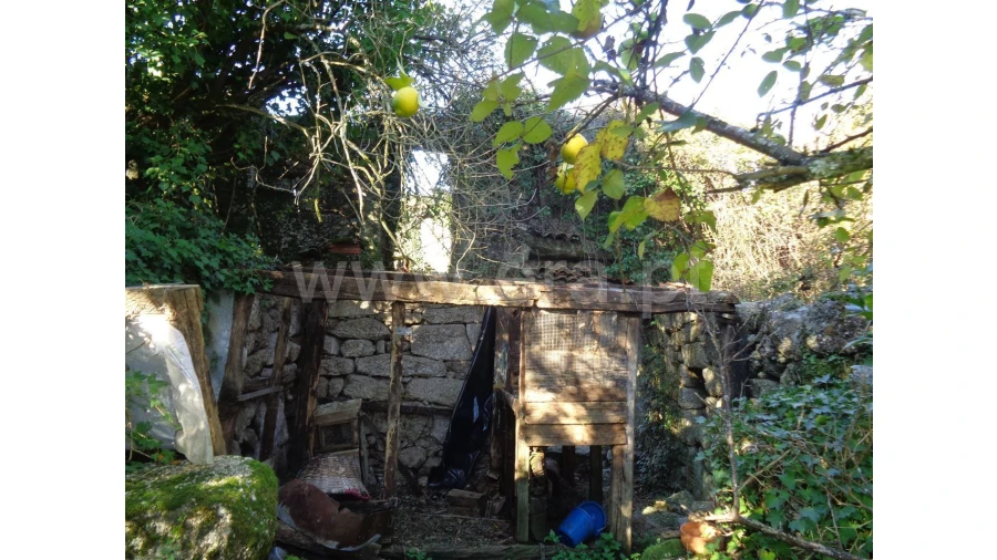 Moradia para Venda em Penela Foto 4