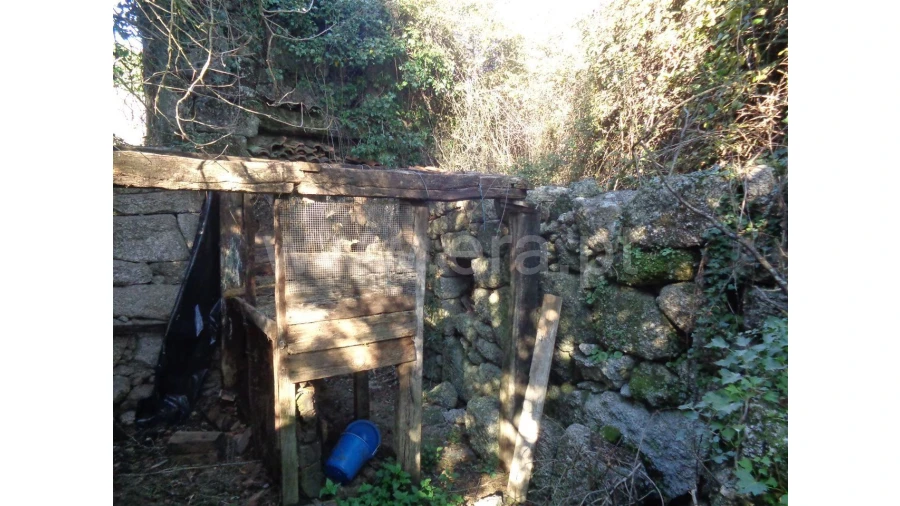 Moradia para Venda em Penela Foto 6