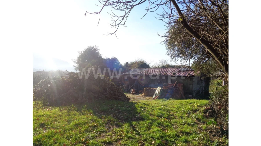 Moradia para Venda em Penela Foto 5