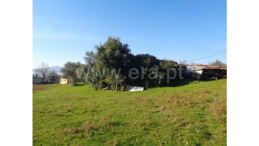 Moradia para Venda em Penela Foto 7