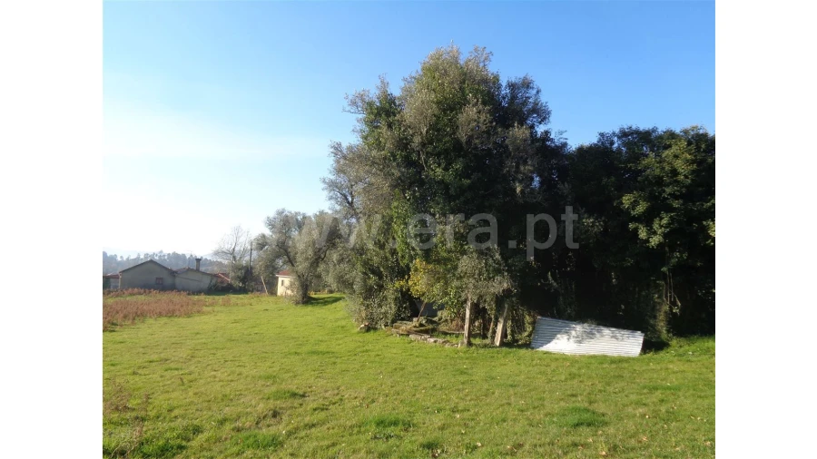 Moradia para Venda em Penela Foto 11