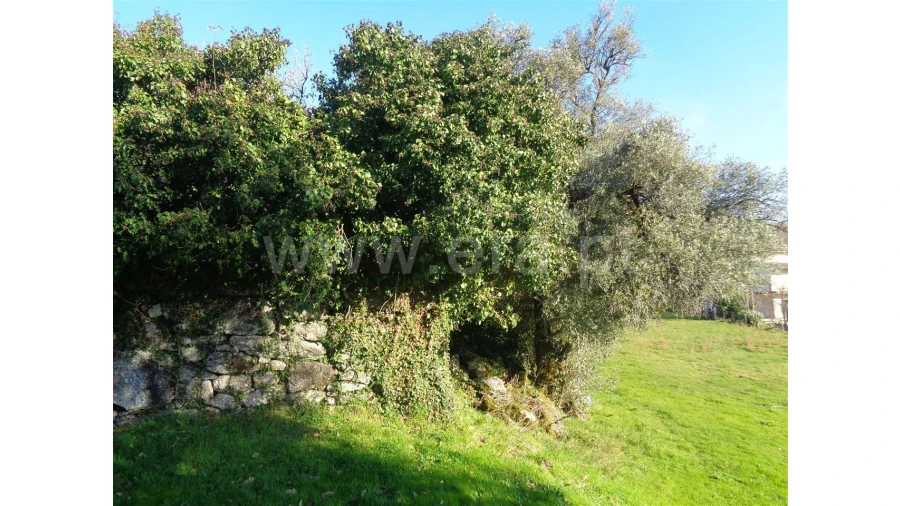 Moradia para Venda em Penela Foto 13