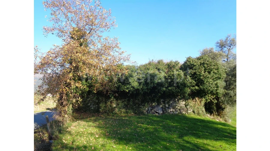 Moradia para Venda em Penela Foto 14