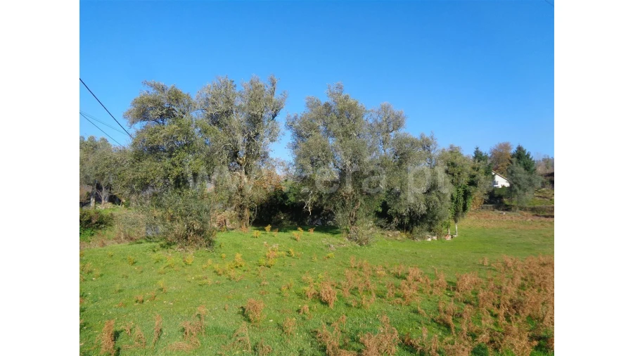 Moradia para Venda em Penela Foto 15