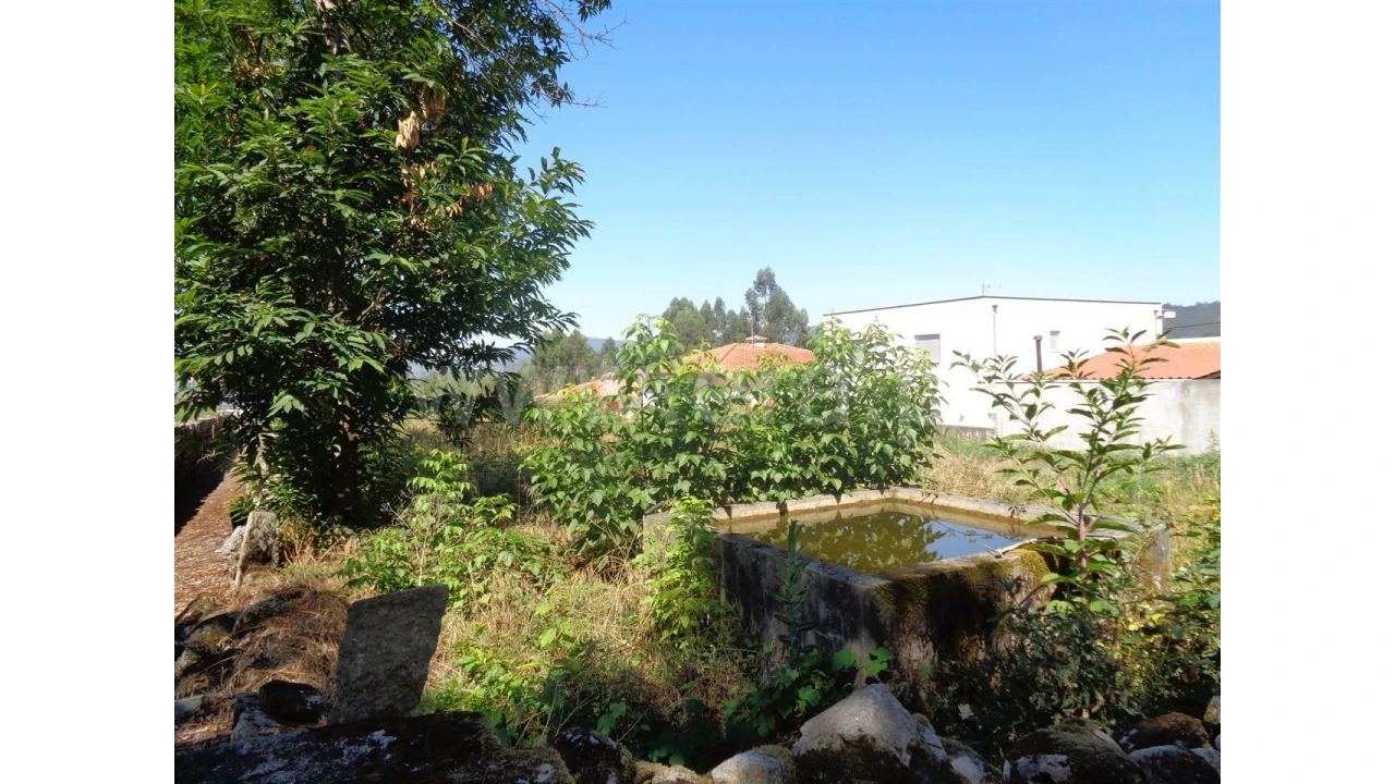 Terreno para Venda em Souto Santa Maria Foto 5