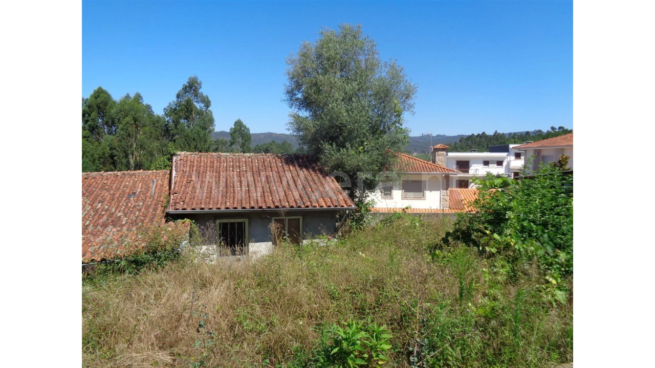 Terreno para Venda em Souto Santa Maria Foto 12