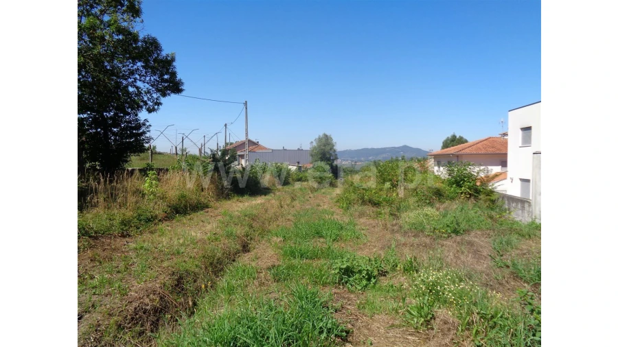 Terreno para Venda em Souto Santa Maria Foto 1