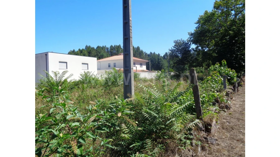 Terreno para Venda em Souto Santa Maria Foto 7