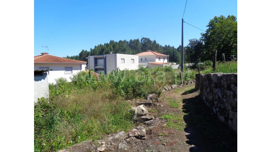 Terreno para Venda em Souto Santa Maria Foto 6
