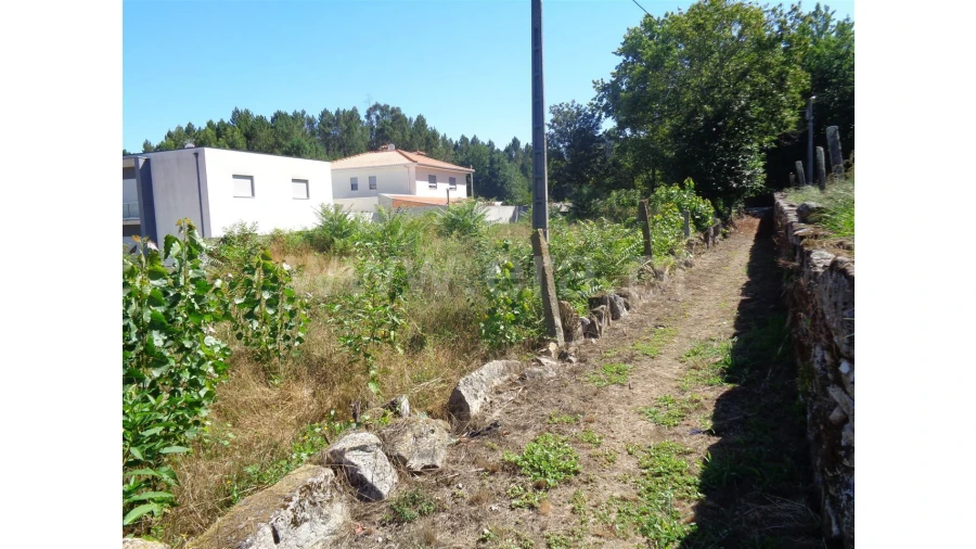 Terreno para Venda em Souto Santa Maria Foto 9
