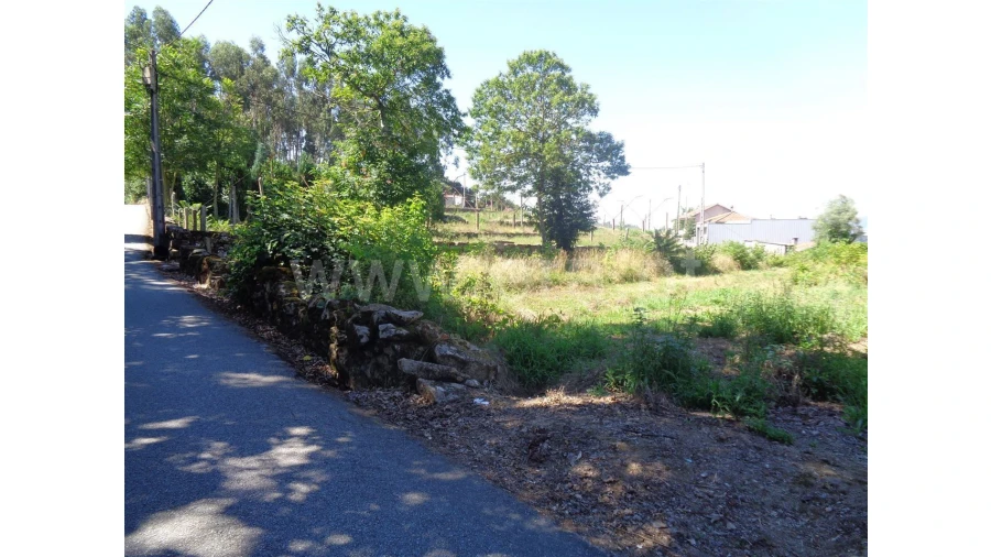 Terreno para Venda em Souto Santa Maria Foto 11