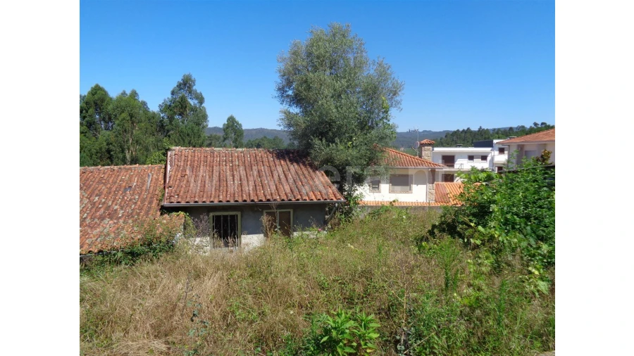 Terreno para Venda em Souto Santa Maria Foto 12