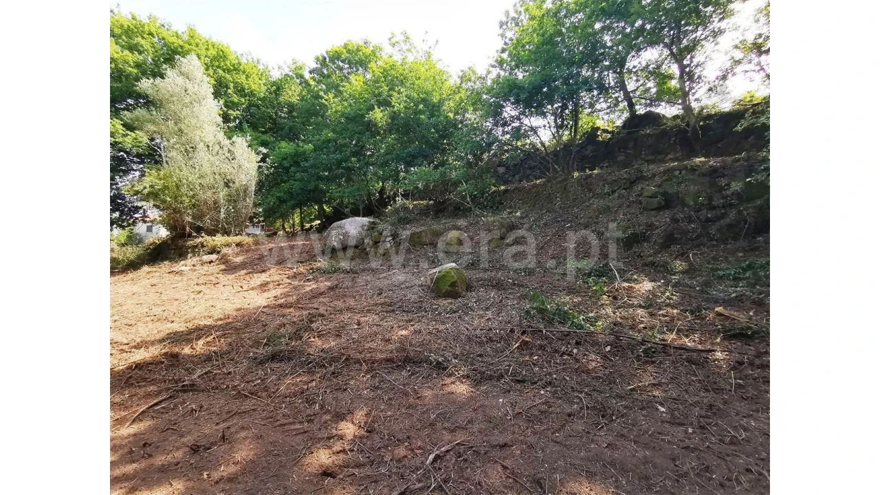 Quinta para Venda em Garfe Foto 10