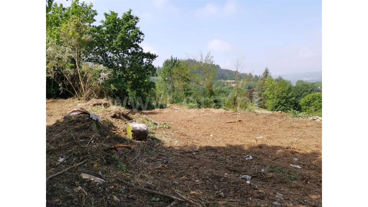 Quinta para Venda em Garfe Foto 12