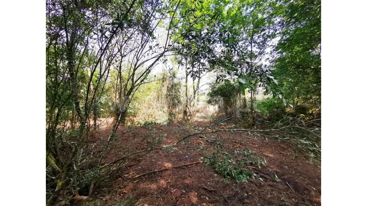 Quinta para Venda em Garfe Foto 17