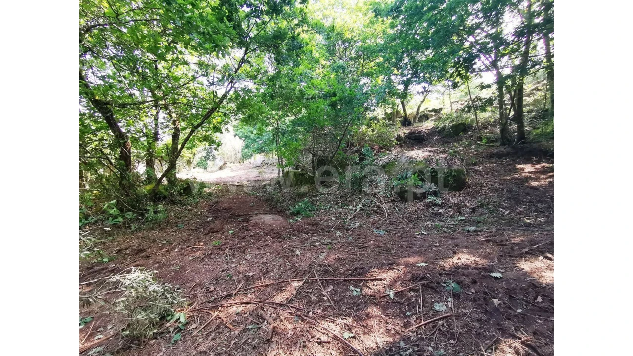 Quinta para Venda em Garfe Foto 18