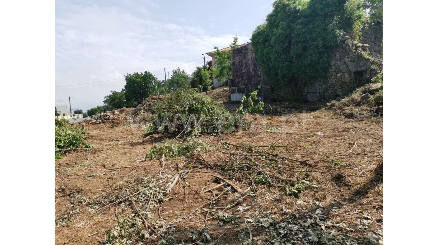 Quinta para Venda em Garfe Foto 5