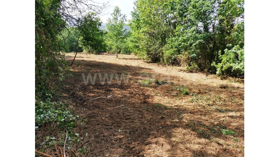 Quinta para Venda em Garfe Foto 13