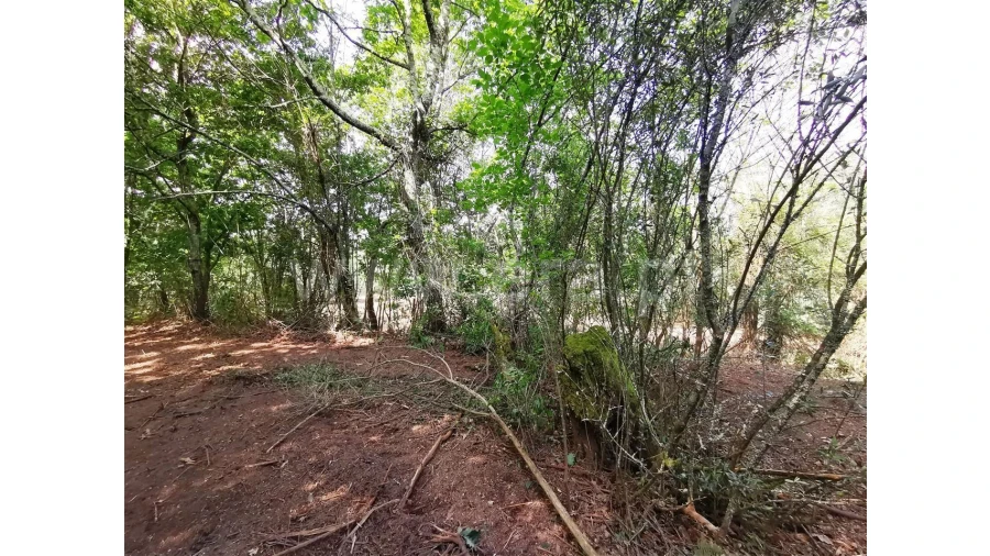 Quinta para Venda em Garfe Foto 16