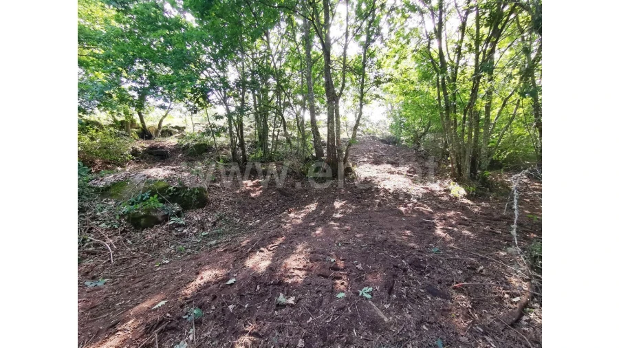 Quinta para Venda em Garfe Foto 20