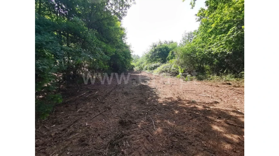 Quinta para Venda em Garfe Foto 19