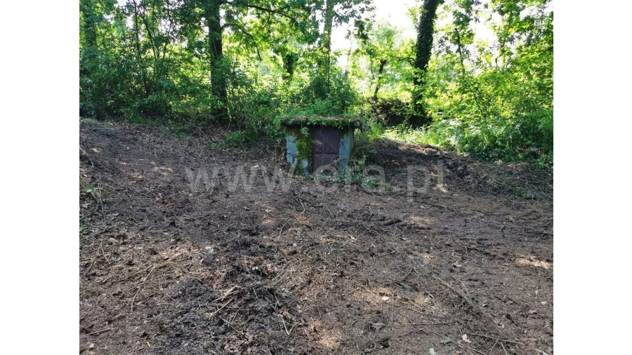 Quinta para Venda em Garfe Foto 21