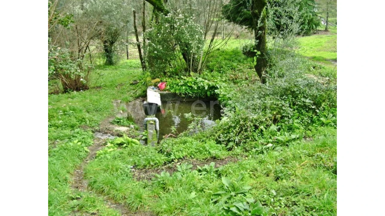 Quinta para Venda em Garfe Foto 23