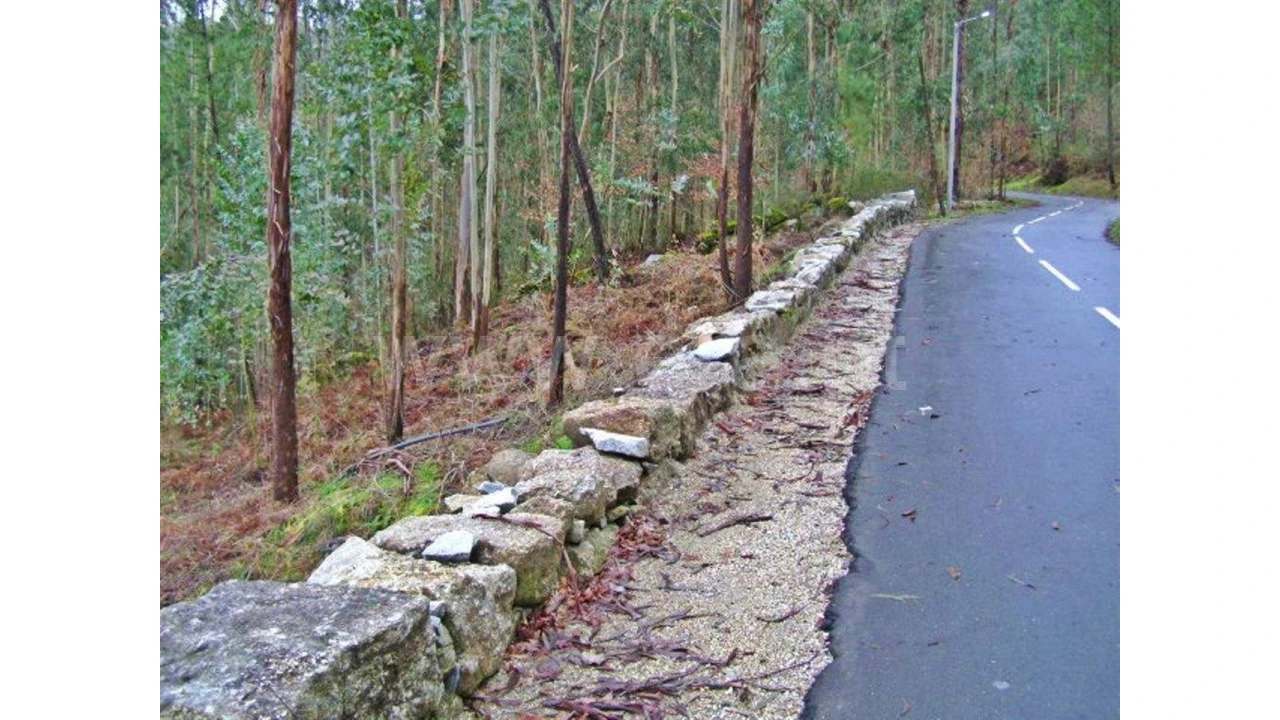 Quinta para Venda em Garfe Foto 29