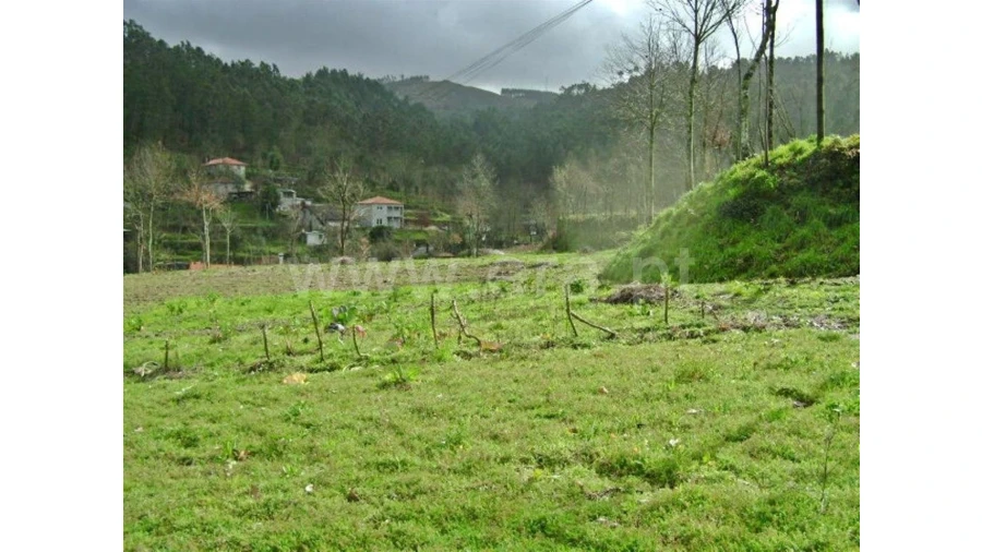 Quinta para Venda em Garfe Foto 21