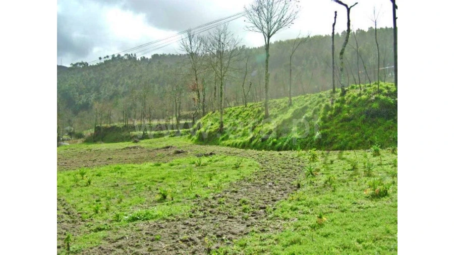 Quinta para Venda em Garfe Foto 22