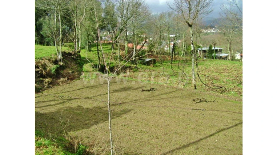 Quinta para Venda em Garfe Foto 24