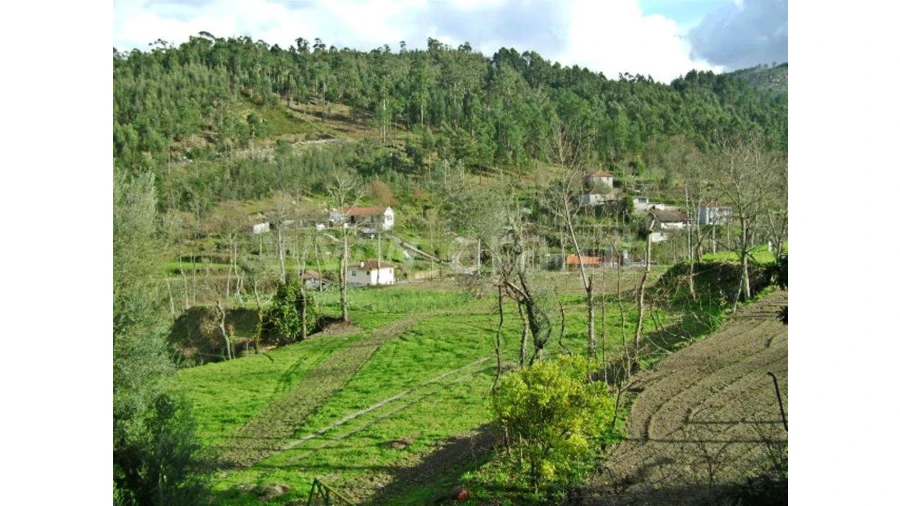 Quinta para Venda em Garfe Foto 26
