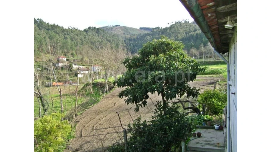 Quinta para Venda em Garfe Foto 27