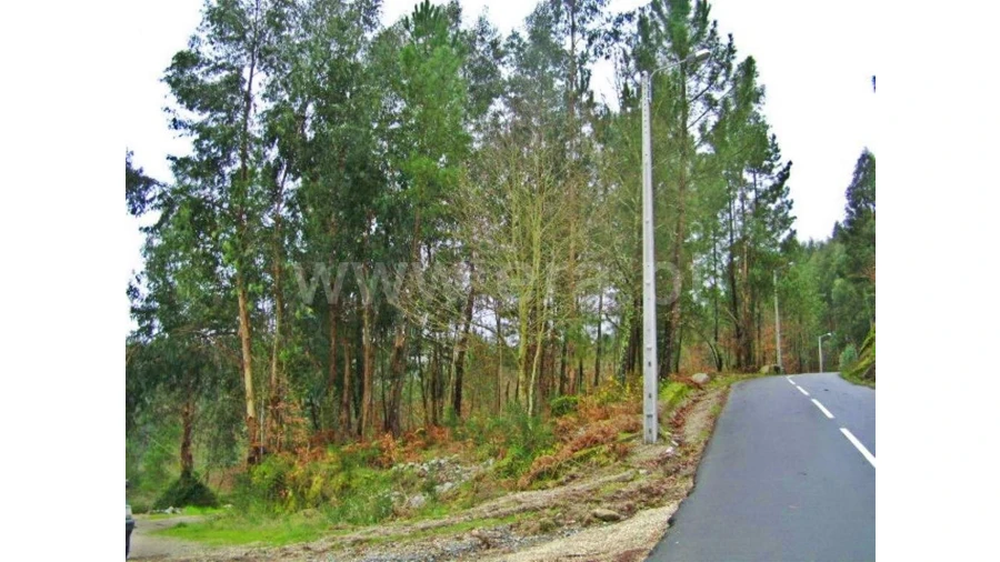 Quinta para Venda em Garfe Foto 28