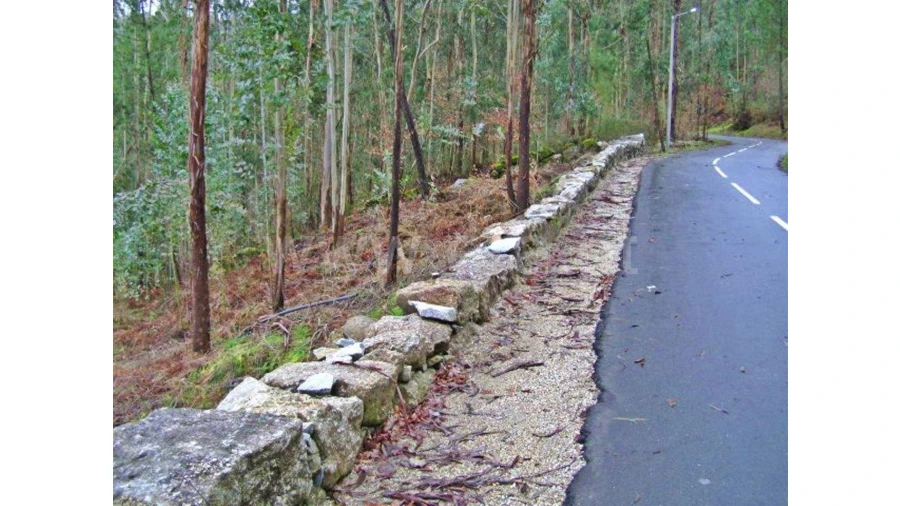 Quinta para Venda em Garfe Foto 29