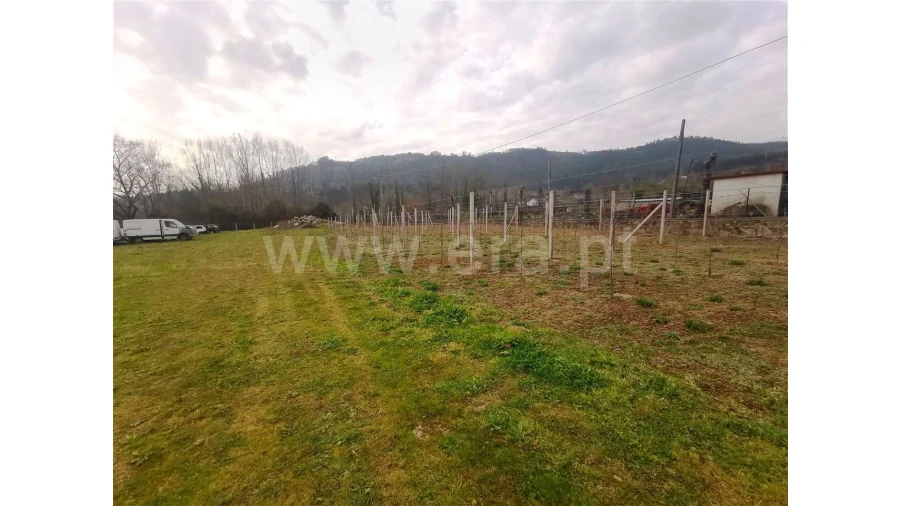 Quinta para Venda em Donim Foto 11