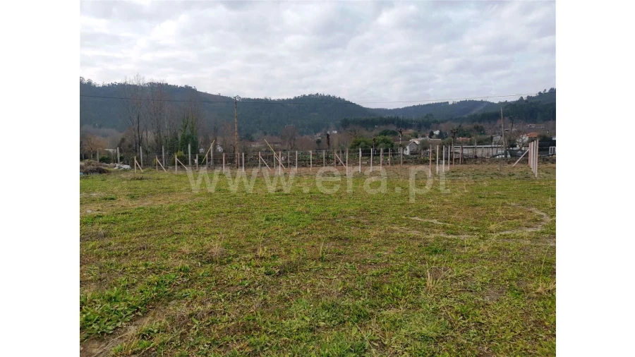 Quinta para Venda em Donim Foto 12