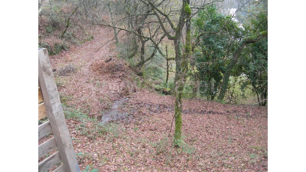 Quinta para Venda em Teixugueiras Foto 6