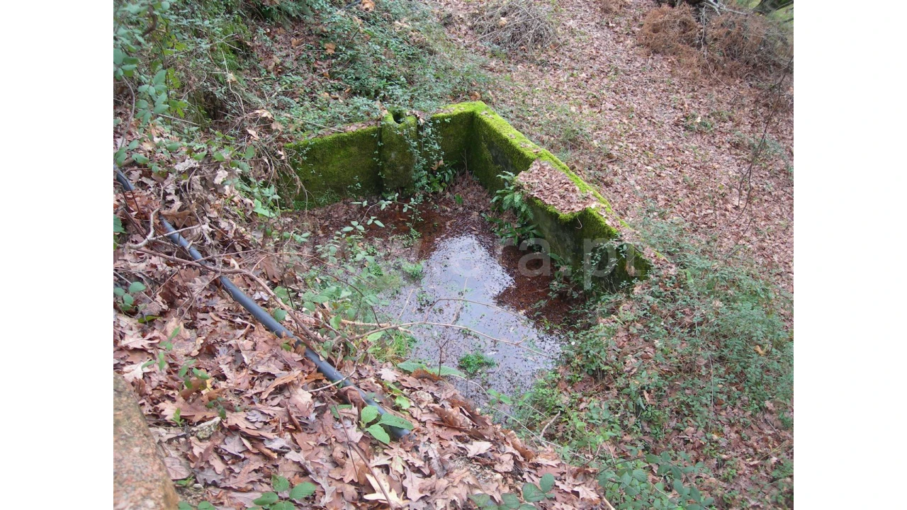 Quinta para Venda em Teixugueiras Foto 8