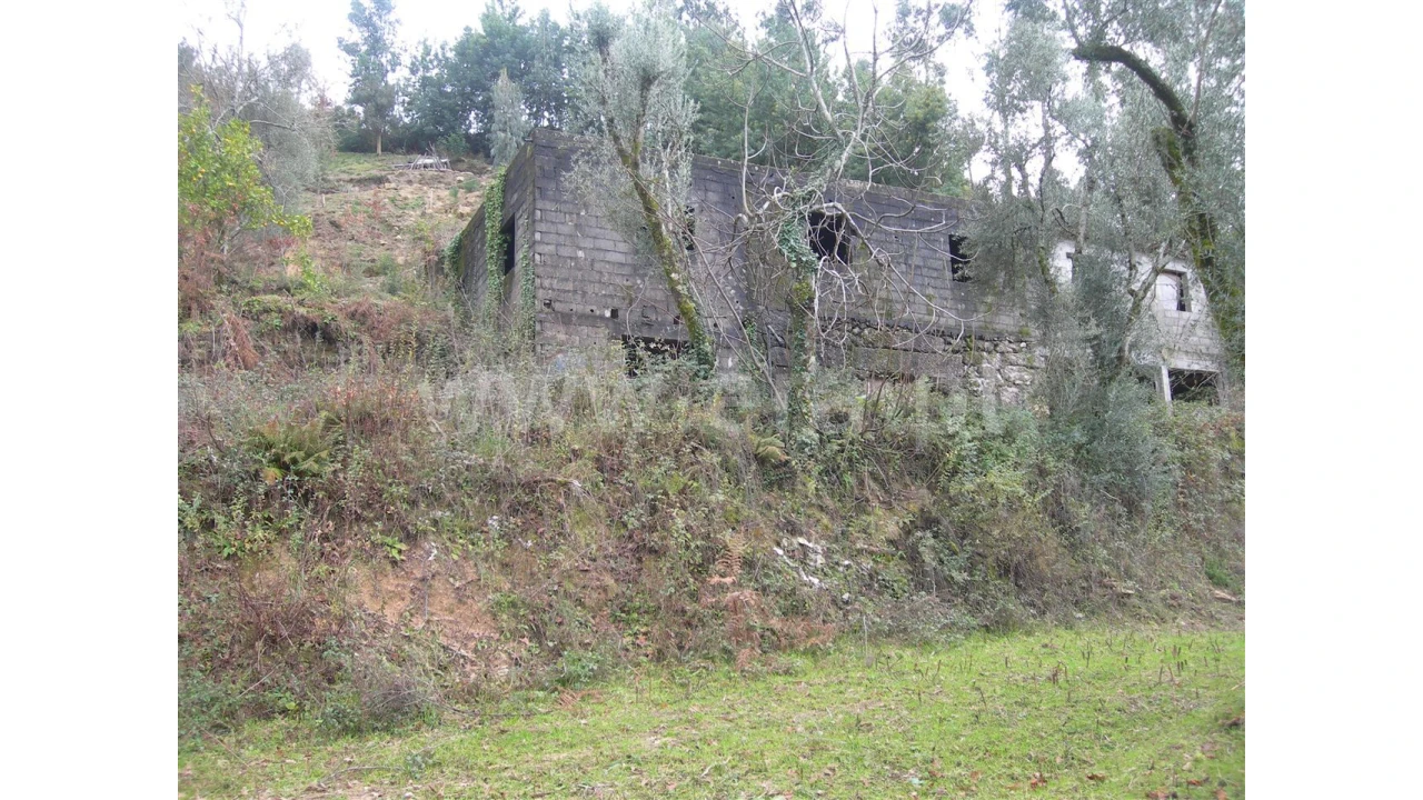 Quinta para Venda em Teixugueiras Foto 1