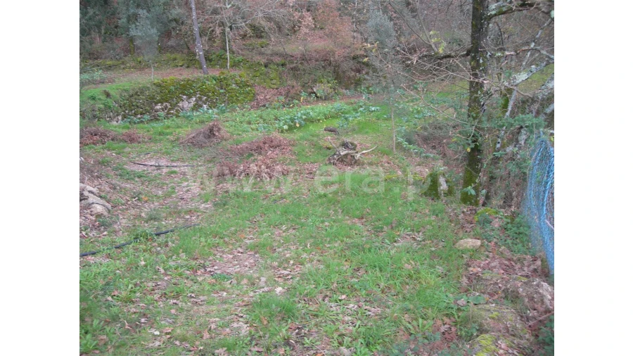 Quinta para Venda em Teixugueiras Foto 3